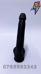 Didol 28.5cm x 4.2cm