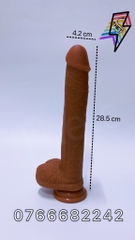 Didol 28.5cm x 4.2cm