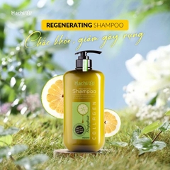 [THÙNG 12 CHAI] Hachi Dầu Gội Tinh Chất Bưởi Ngăn Gãy Rụng Chai 800ml
