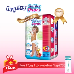 [Tặng 1 cây rửa bình Pur] Tã quần Drypro XXL36