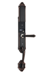 KHÓA ĐIỆN TỬ VICKINI 39813.002 (APP)