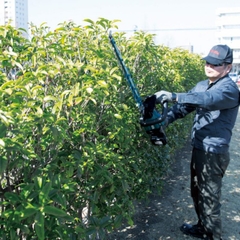 MÁY TỈA HÀNG RÀO DÙNG PIN(600MM/BL)(18V)