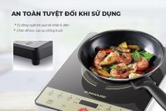 BẾP TỪ ĐƠN SUNHOUSE SHD6165