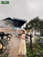 Number 594: MASSAGE SERVICES AT HOME AND HOTEL IN DA NANG (VIETNAM)