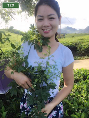 NUMBER 123: MASSAGE AT HOME HA NOI VIETNAM