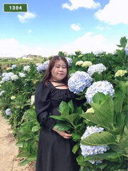 NUMBER 1304: MASSAGE IN HOME VUNG TAU (at home, apartment, hotel…)