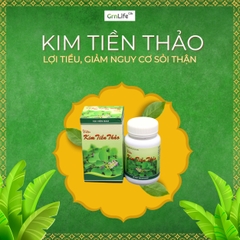 Viên KIM TIỀN THẢO chính hãng Đại Uy 100 viên - Giúp lợi tiểu, giảm nguy cơ sỏi thận, tiểu gắt