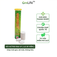 Sủi Actiso Đại Uy - Mát gan giải độc, lợi mật (Lọ 20 viên sủi)
