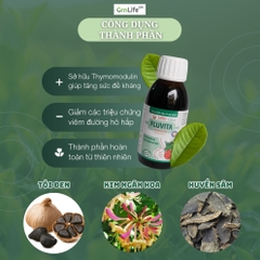 Siro ho cảm cúm Xuyên Tâm Liên FLUVITA Greenlife - Hỗ trợ giảm viêm hô hấp, tăng sức đề kháng