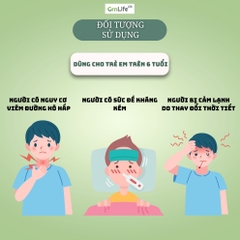 Siro ho cảm cúm Xuyên Tâm Liên FLUVITA Greenlife - Hỗ trợ giảm viêm hô hấp, tăng sức đề kháng