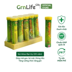 Sủi Actiso Đại Uy - Mát gan giải độc, lợi mật (Lọ 20 viên sủi)