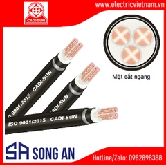 Cáp ngầm 3 lõi Cu/XLPE/PVC/DSTA/PVC 35-95mm2