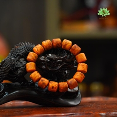 Vòng Nu Huyết Long Bản Nhộng