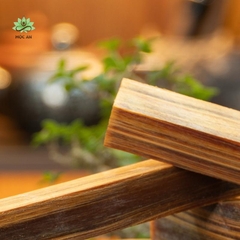 Phôi Gỗ Hoàng Đàn Tuyết Lạng Sơn Chìm Thấu Quang