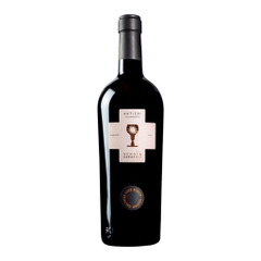 Rượu vang đỏ Ý Antieri Schola Antieri