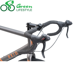Ganite 1.0 - 120099