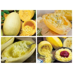 Hạt Giống Bí Trộn Gỏi, Bí Sợi Mì Spaghetti Tivoli - Gói 5 hạt