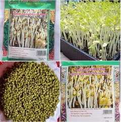 Hạt giống mầm đậu xanh (giá đỗ) - Gói 50gram