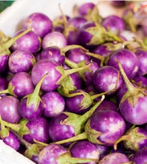 Hạt Giống Cà Pháo Tím Cao Sản