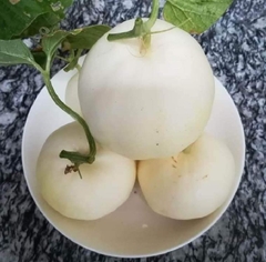 Hạt Giống Dưa Lê Bạch Tuyết