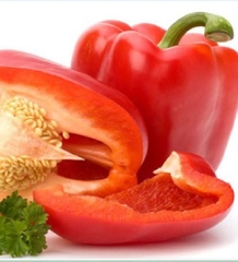 Hạt Giống Ớt Chuông Ngọt F1 Đỏ