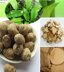 Hạt Giống Trạch Tả