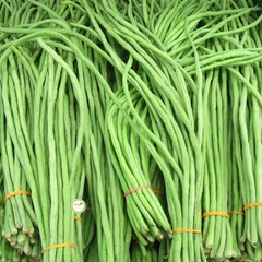 Hạt Giống Đậu Đũa Hạt Trắng Cao Sản