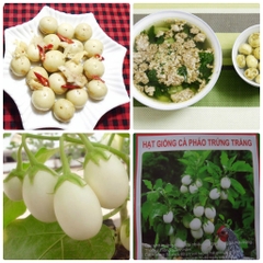 Hạt Giống Cà Pháo Trắng Cao Sản