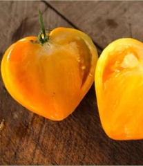Hạt Giống Cà Chua Trái Tim Vàng