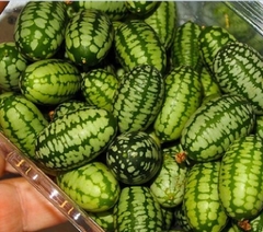 Hạt Giống Dưa Hấu Tí Hon