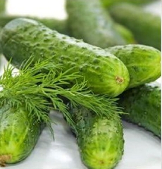 Hạt Giống Dưa Chuột Bao Tử