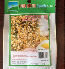 Hạt giống hoa Trà Hoa Cúc - Gói 3gram