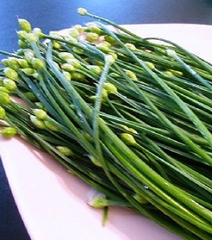 Hạt Giống Hẹ Ăn Bông - Gói 2gram