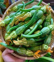 Hạt Giống Bí Siêu Nụ Cao Sản