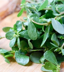 Hạt giống rau sam đất