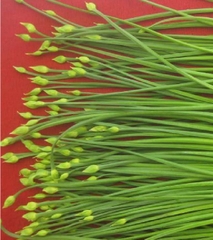 Hạt Giống Hẹ Ăn Bông - Gói 2gram
