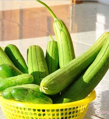 Hạt Giống Mướp Hương Thái Lan F1