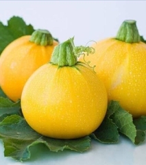 Hạt Giống Bí Ngồi Vàng Quả Tròn