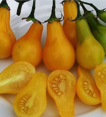 Hạt Giống Cà Chua Bi Trái Lê Vàng