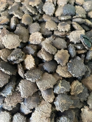 Hạt Giống Quả Gấc Cao Sản