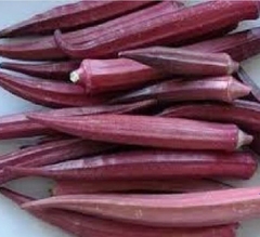 Hạt Giống Đậu Bắp Đỏ Cao Sản