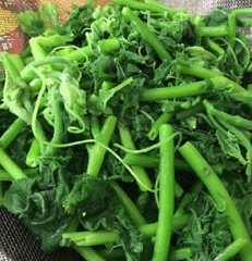 Hạt Giống Bí Siêu Ngọn Cao Sản