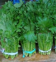 Hạt Giống Rau Cải Mèo Hà Giang