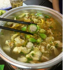 Hạt Giống Khổ Qua Rừng