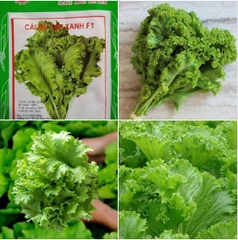 Hạt giống rau cải mù tạp - Gói 5gram