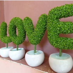 Hạt Giống Cỏ May Mắn - Gói 1gram