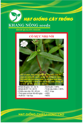 Hạt Giống Cỏ Mực Nhọ Nồi - Chữa Nhiều Bệnh
