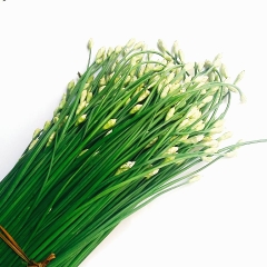 Hạt Giống Hẹ Ăn Bông - Gói 2gram