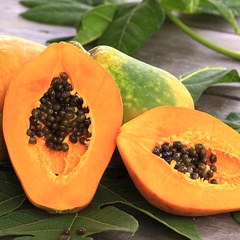Hạt Giống Đu Đủ Ruột Gấc F1