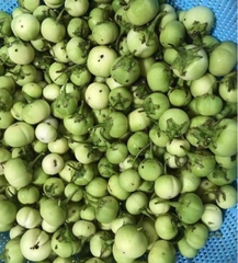 Hạt Giống Cà Pháo Xanh Cao Sản